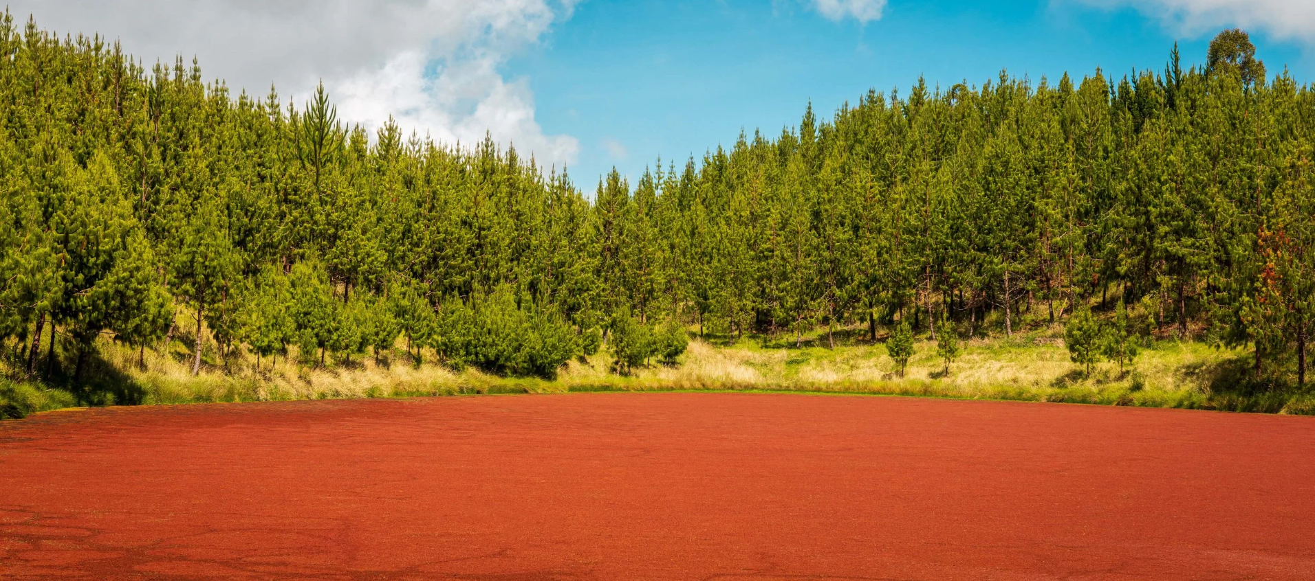 captura de pantalla 2026 02 10 103432