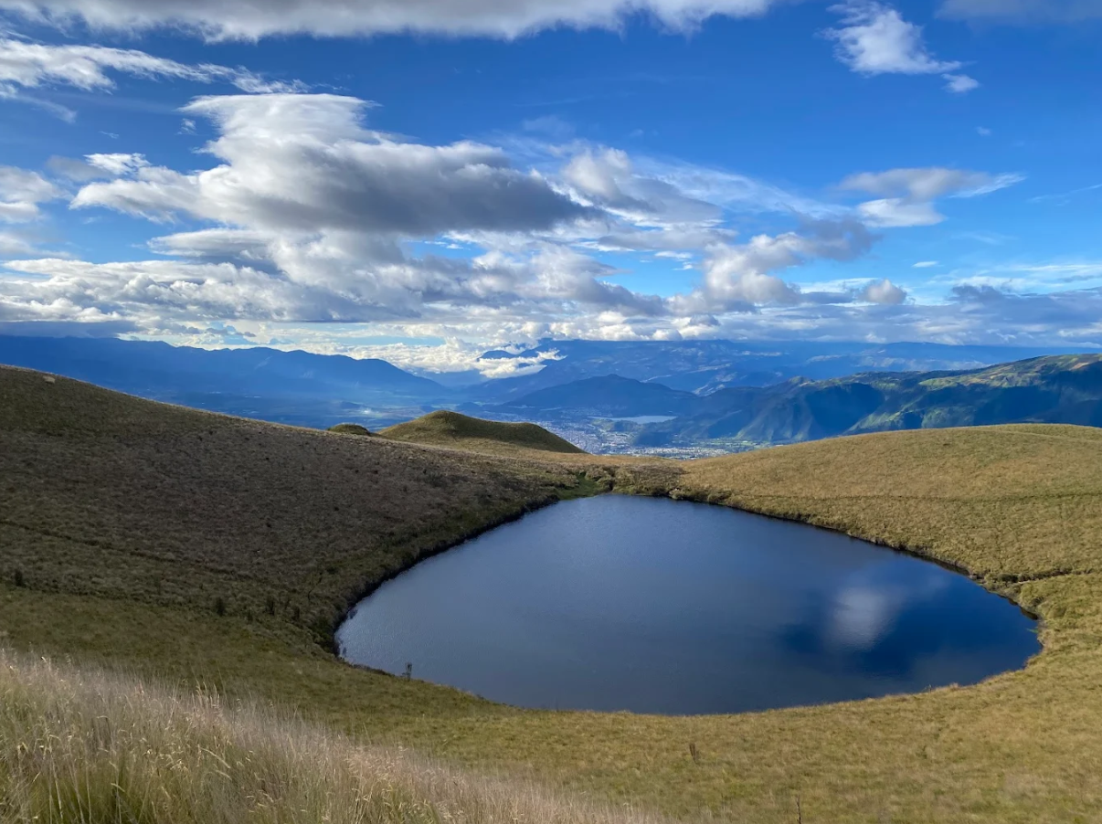 captura de pantalla 2026 02 10 105010