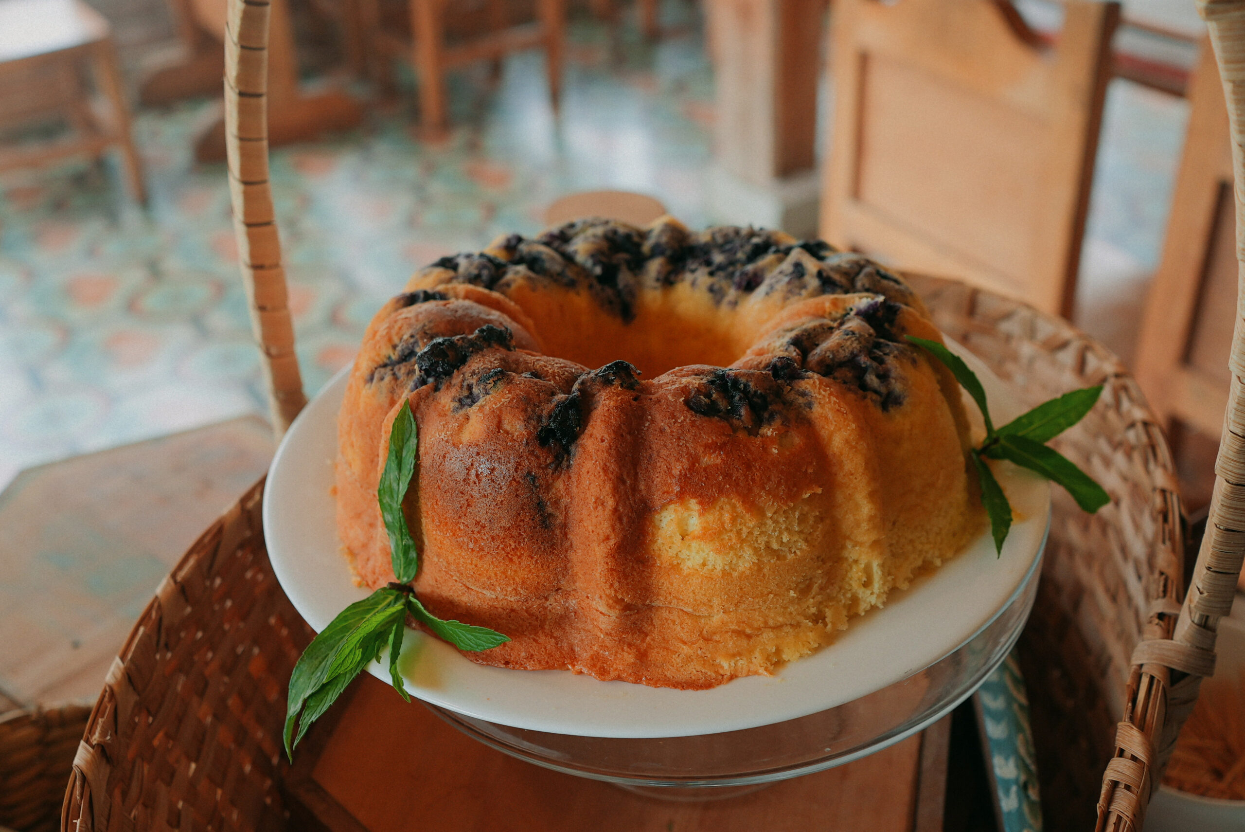 DSC06808.00000000 Scaled