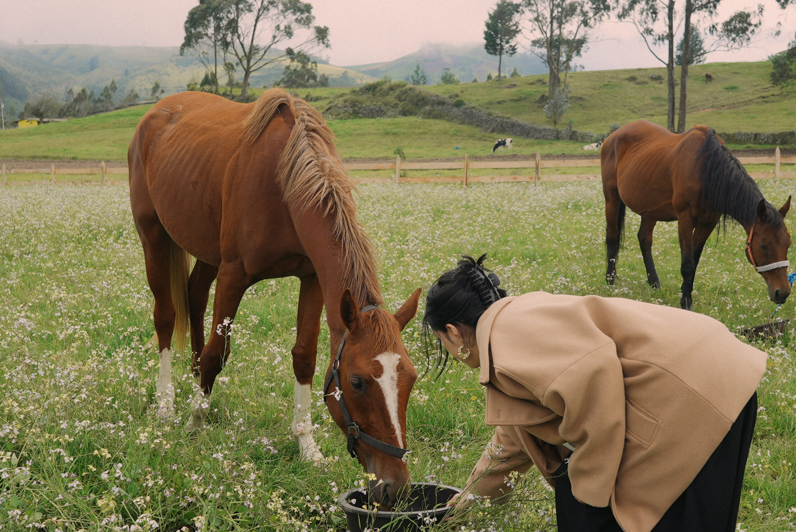 DSC06916.00000000 Scaled