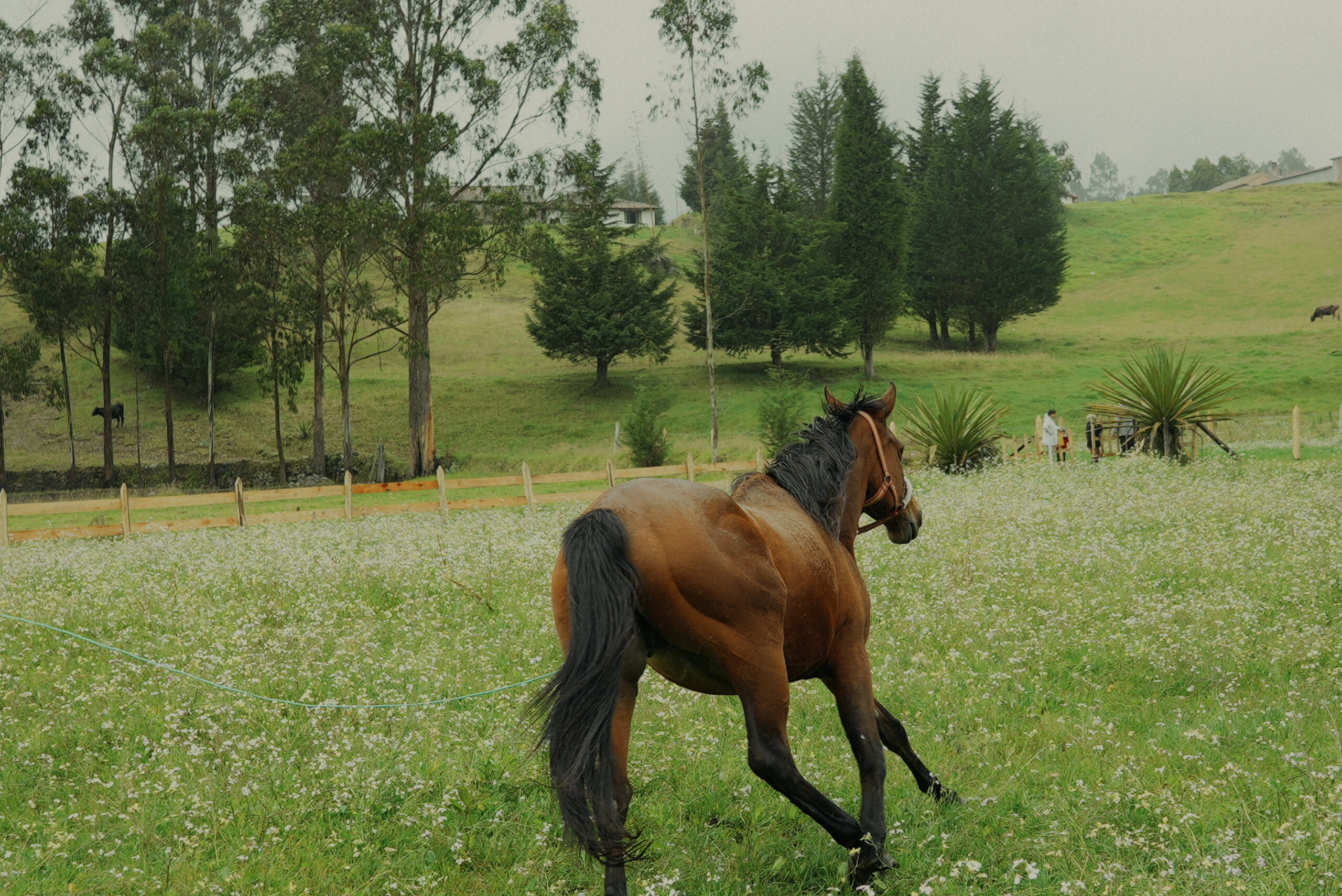 DSC07282.00000000 Scaled