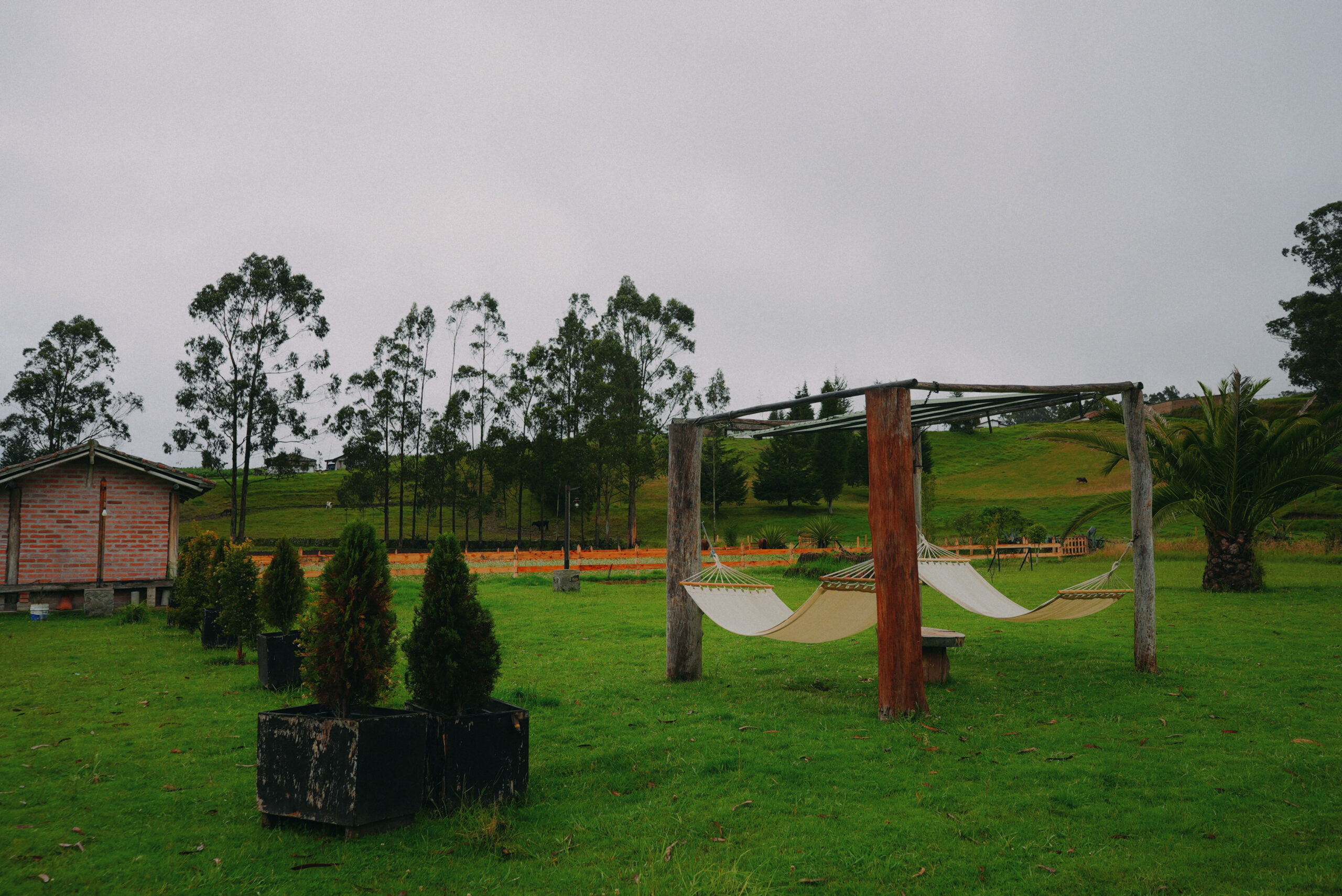 DSC07778.00000000 Scaled