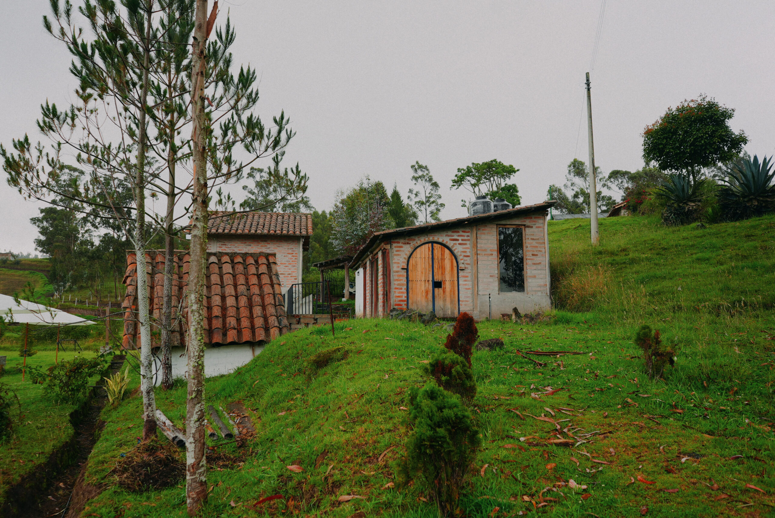 DSC07821.00000000 Scaled